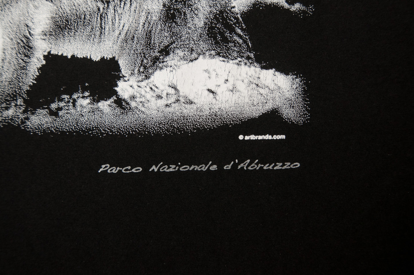 Y2K Parco Nazionale d'Abruzzo t-paita (S)