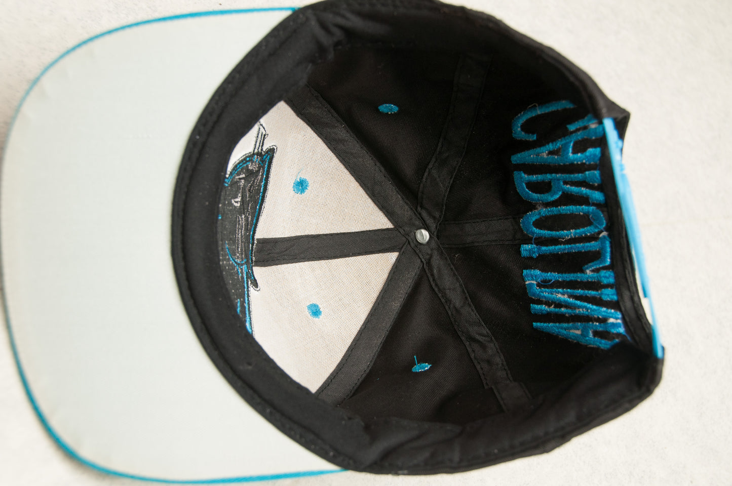 Vintage NFL Carolina Panthers lippalakki 90-luvulta (S-M)