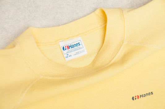 Vintage Hanes collegepaita 90-luvulta (S)