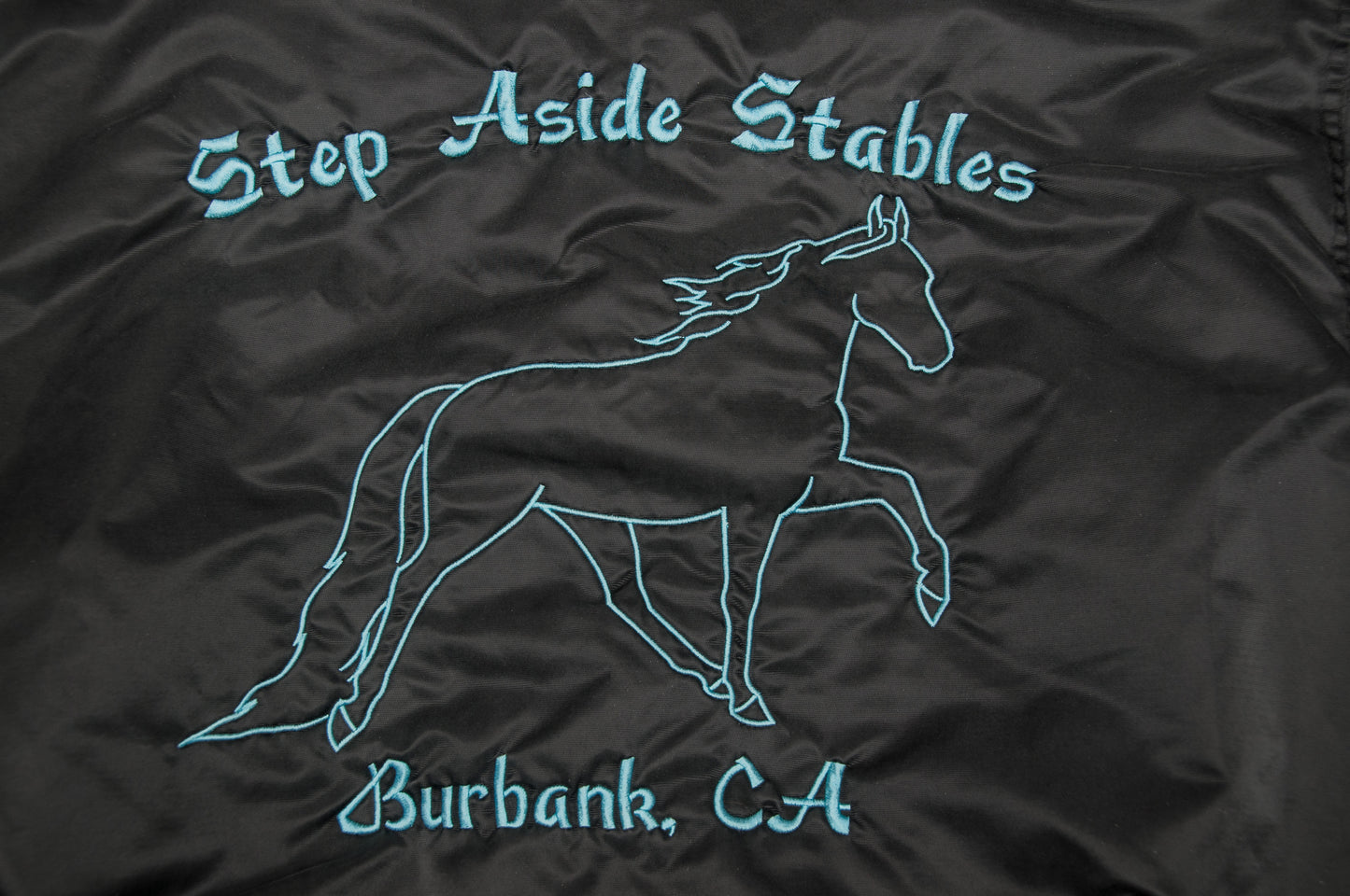 Vintage Y2K Game Sportswear x Step Aside Stables satiinitakki (M)