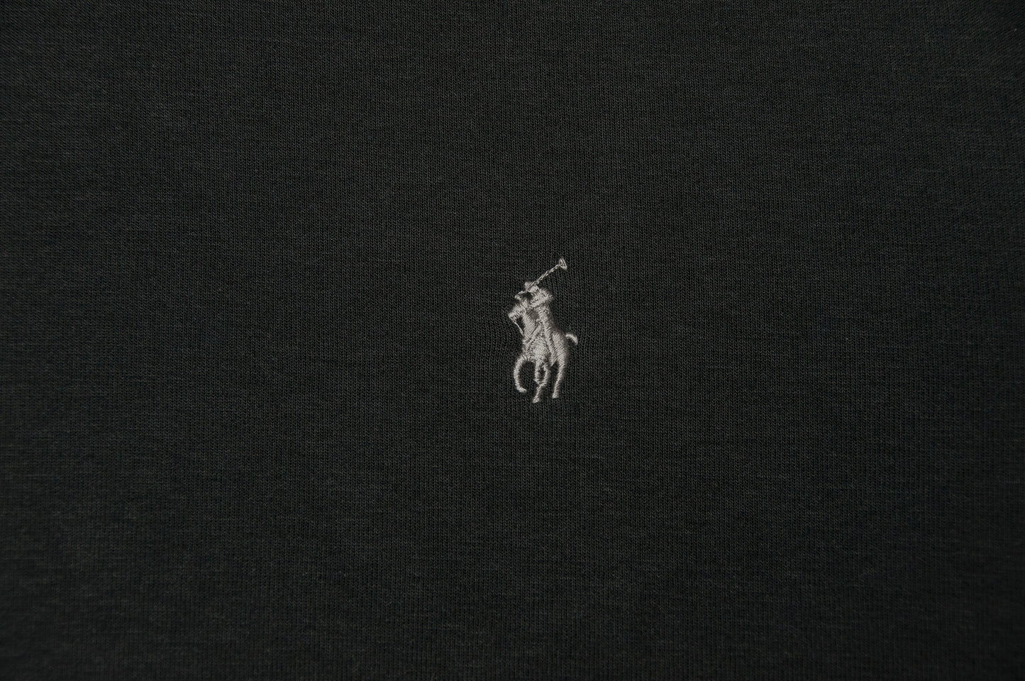 Polo Ralph Lauren huppari (L)