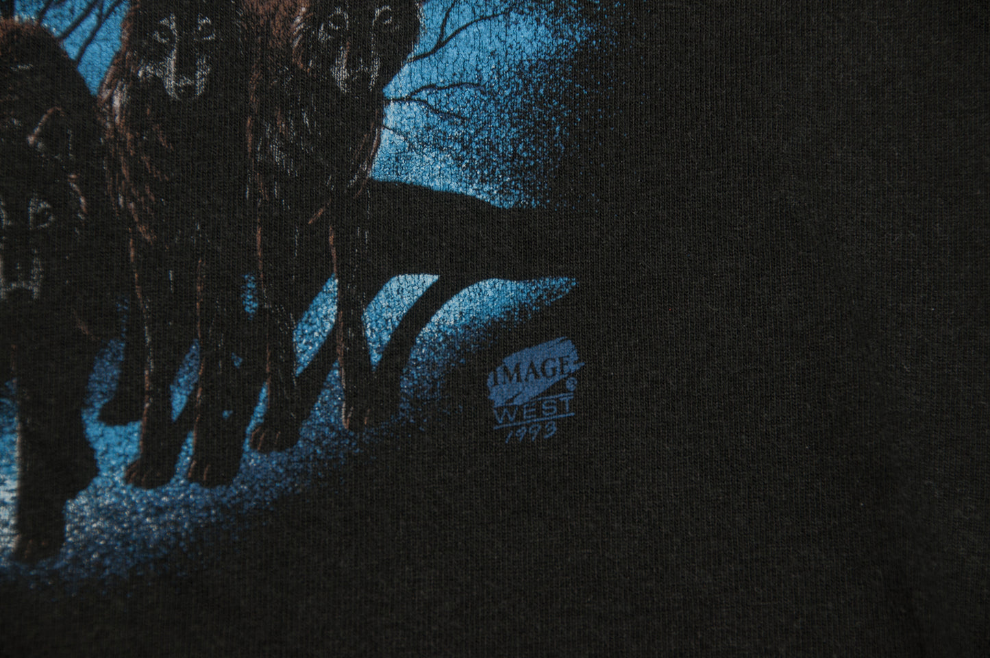 Vintage Jackson Hole Wyoming t-paita 90-luvulta (XS)