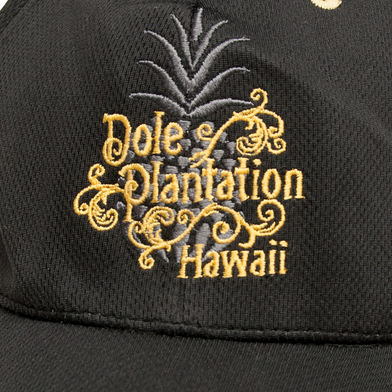 Vintage Dole Plantation Hawaii lippalakki 90-luvulta (S-XL)